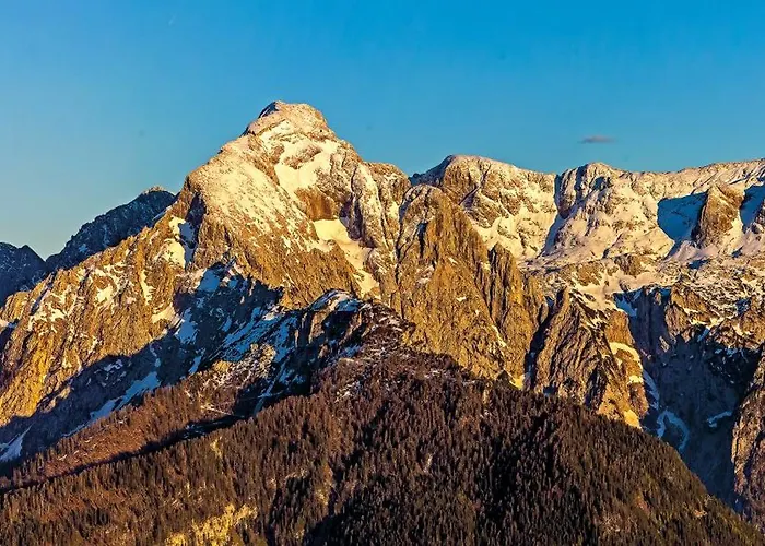 Alpenresidenz Buchenhoehe